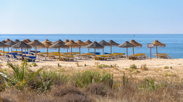 istock Straw umbrellas on the beach in Vilamoura 1251202547
