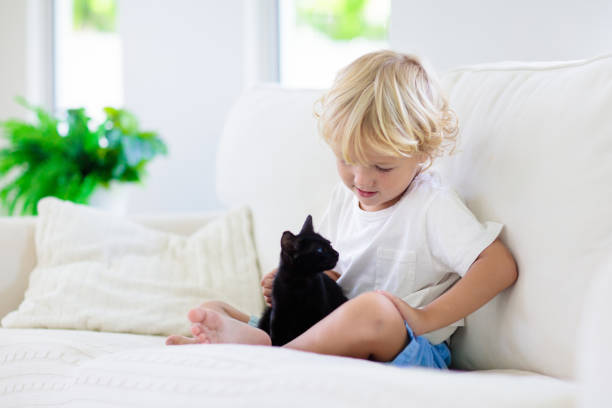 istock Child playing with baby cat. Kid and kitten. 1251204997