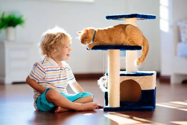 Photo of Child playing with cat at home. Kids and pets.