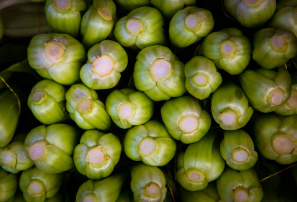 Fresh organic celery at a farmers market on the Big Island Hawaii