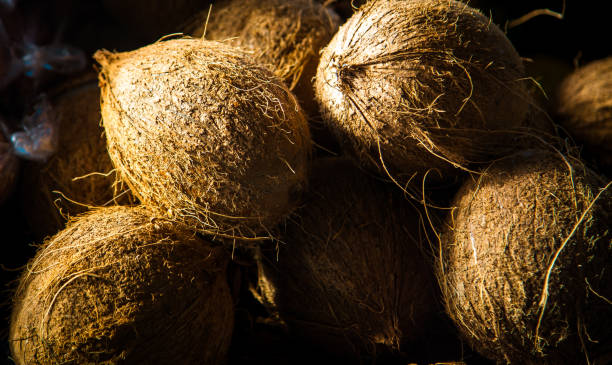 istock fresh coconuts at a market in Hawaii 1251211183