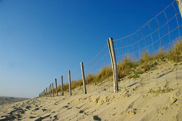 istock Dune at the French coast 125121591