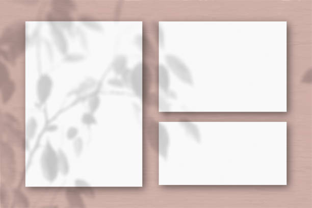 istock Several horizontal and vertical sheets of white textured paper on the background of a pink wall. Natural light casts shadows from an exotic plant. Flat lay, top view 1251217473