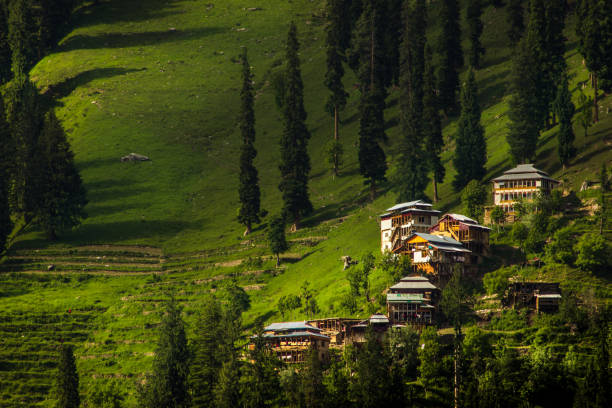 kashmir valley - villaggio di montagna - green cross foto e immagini stock