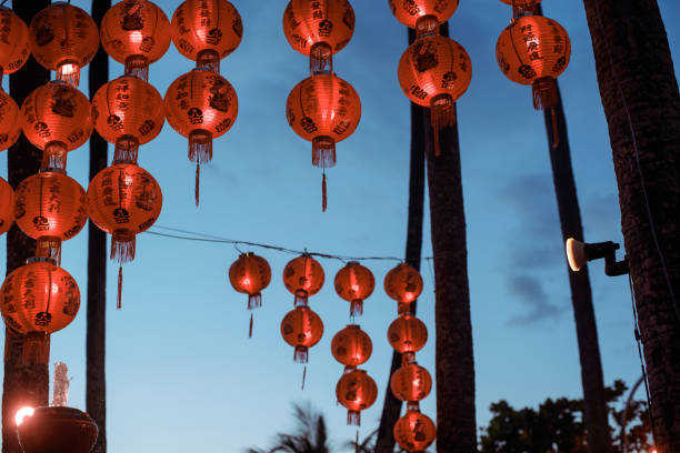 istock Bright Chinese lanterns on palm trees against the evening sky. 1251218357