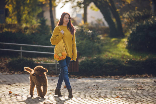 istock Female pet sitter walking her dog 1251218972