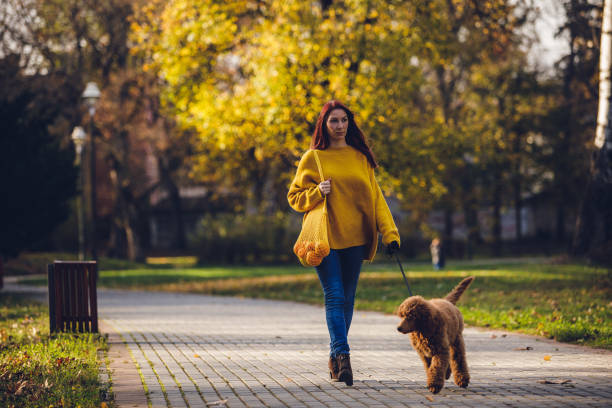 istock Female pet owner walking her dog 1251218985