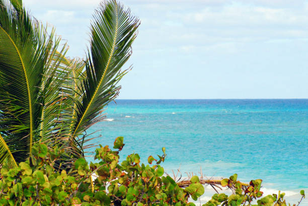 A beautiful image of a tropical beach scene on the island of Eleuthera in the Bahamas