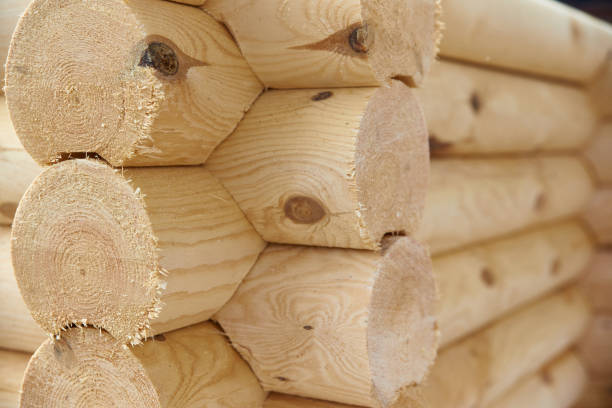 istock Wooden beam  folded into a log house (house) 1251223215