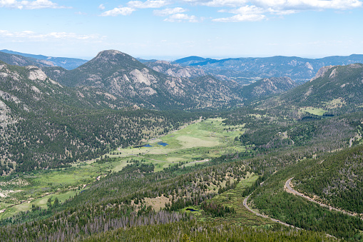 Aerial Shot Above Forest and Nature