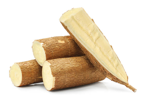 manioca isolata su sfondo bianco - yucca foto e immagini stock