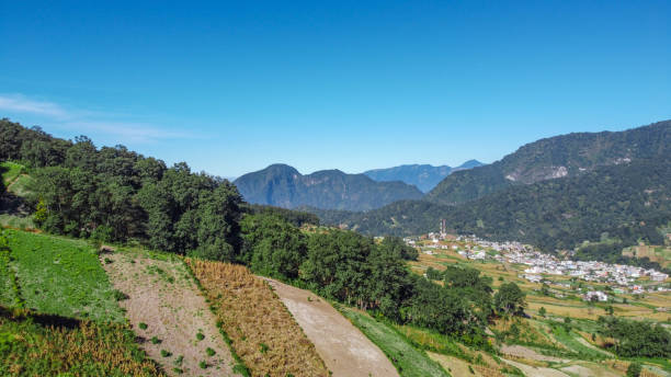 istock Agriculture in Guatemala 1251233583
