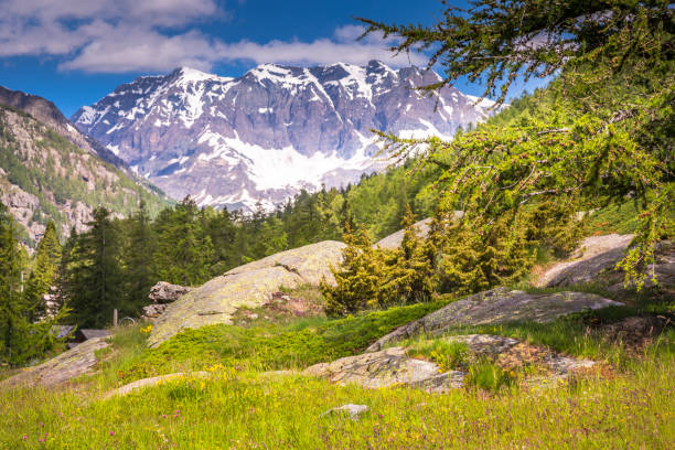 istock Gran Paradiso idyllic alpine landscape at springtime – northern Italy 1251233684