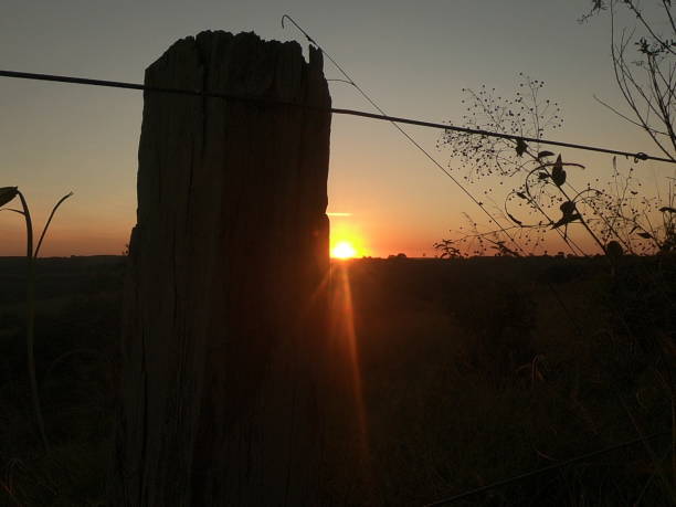 istock Dusk on farm, sun on horizon 1251236197