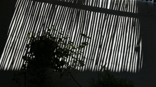istock Bamboo covered terrace in Andalusian home 1251236223
