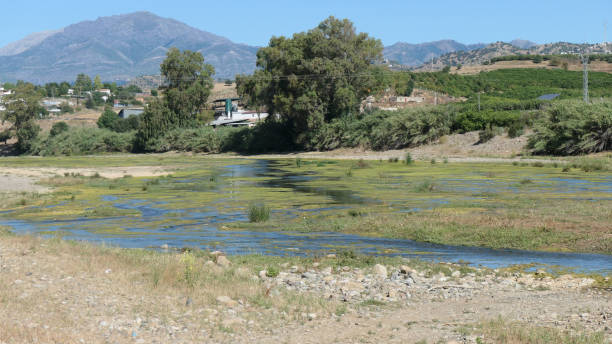 istock Summers day at Rio Grande, Andalusia 1251236230