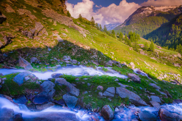 Mountain Stream Flowing Into River - Scenic landscape with dramatic high peaks with water flowing softly into another flowing body of water in wilderness area in the Rocky Mountains.