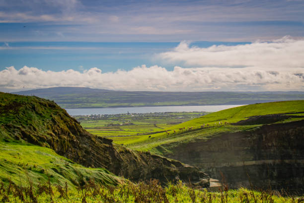 An idyllic Irish country side. Rocky cliffs, cattle, green patchwork fields, the sun reflecting off a bay, and white puffy clouds in the sky.