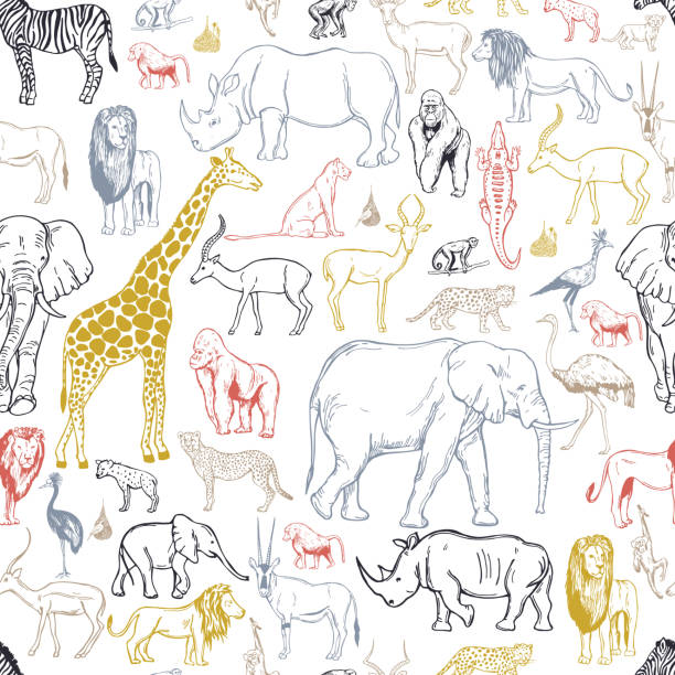 stockillustraties, clipart, cartoons en iconen met afrikaanse dieren en vogels. vectorachtergrond. - zoo
