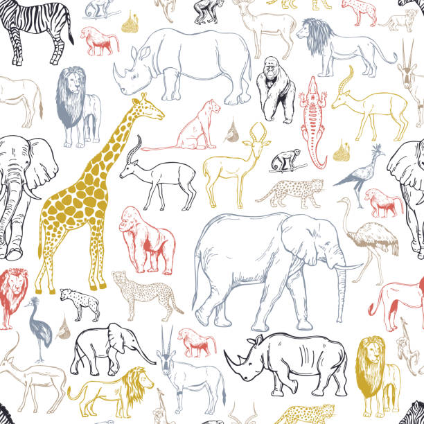 African animals and birds . Vector background. Hand drawn african animals and birds . Vector background. animal animal stock illustrations