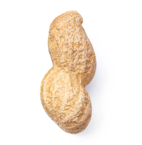 istock Peanut isolated on the white background. Roasted nut macro. 1251245919