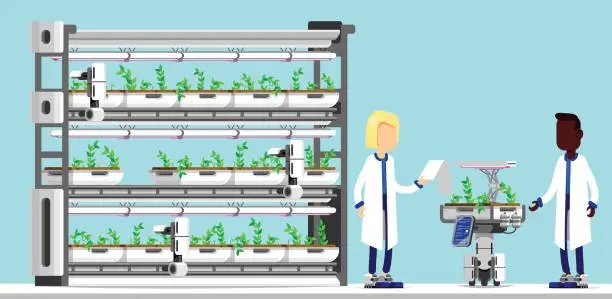 Vector illustration of Scientists working on advanced technologies and robots for hydroponics and sustainable agriculture