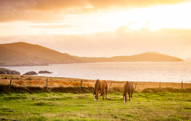 idyllic landscape