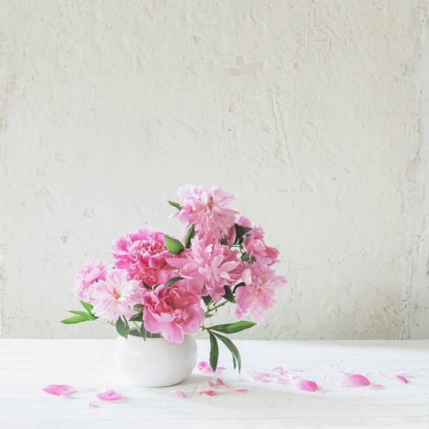 istock pink  peonies  on background old white wall 1251249218