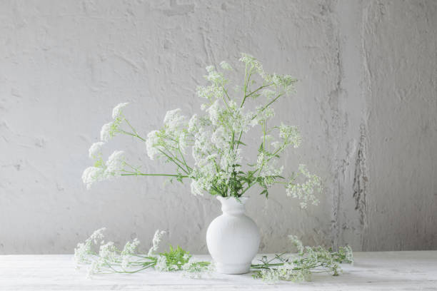 istock white wild flowers in vase on white background 1251249219
