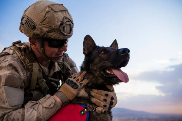 soldado del ejército que ama a su perro entrenado - perro adiestrado fotografías e imágenes de stock