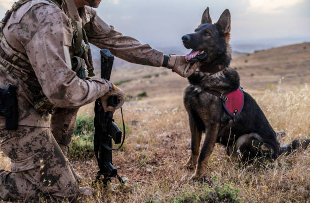 istock Army soldier loving his trained dog 1251254335