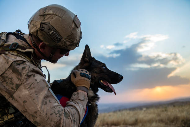 Army soldier loving his trained dog Army soldier loving his trained dog search and rescue dog photos stock pictures, royalty-free photos & images
