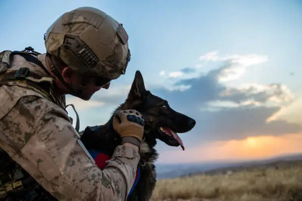Photo of Army soldier loving his trained dog