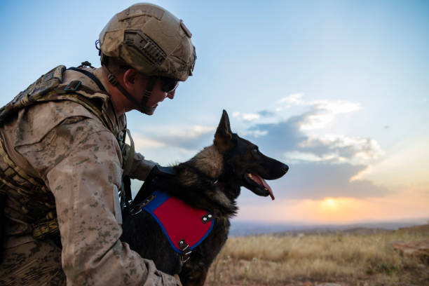 istock Army soldier loving his trained dog 1251254348