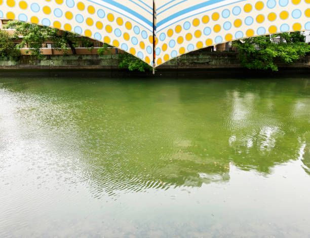 An umbrella and the rain on the water