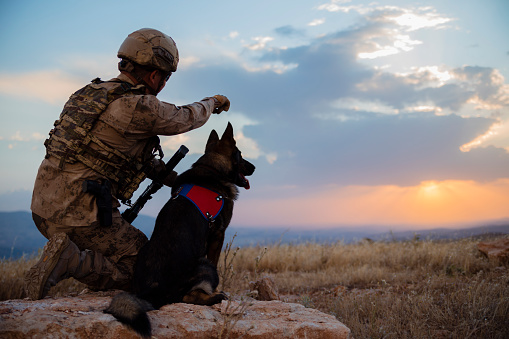 Army soldier with attack dog