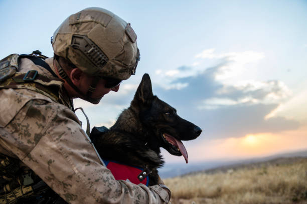 istock Army soldier loving his trained dog 1251254383