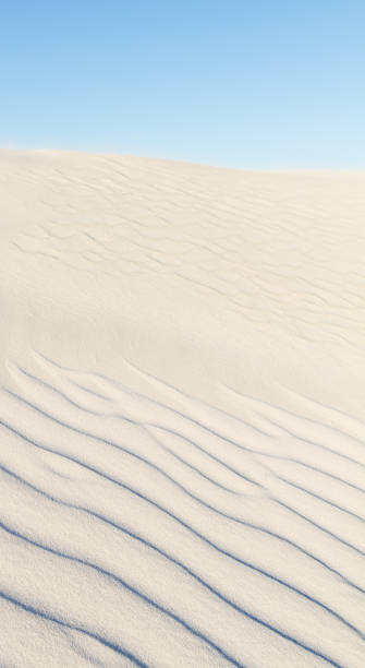 istock Sand Dunes at dawn, Cervantes, Western Australia 1251255776