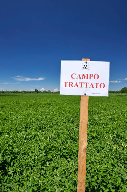 istock pesticide 1251257032