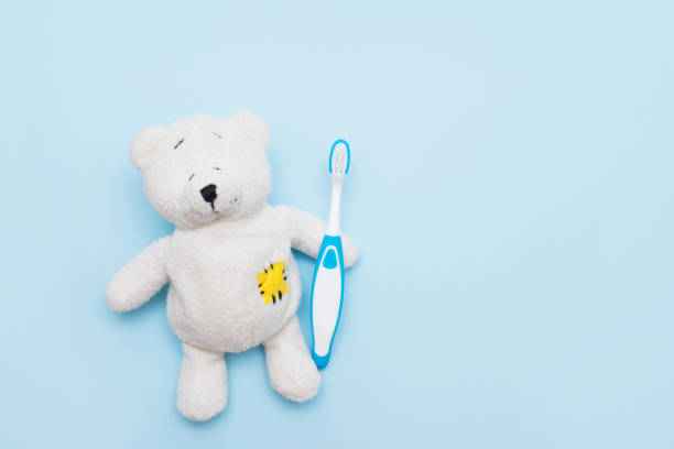 white Teddy bear with a toothbrush on blue background , copy space