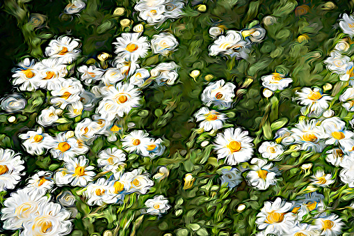 A large group of marguerite flowers. Painterly cartoon effect.