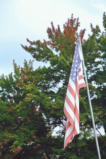 istock Red Leaves Salute the Flag 1251264982