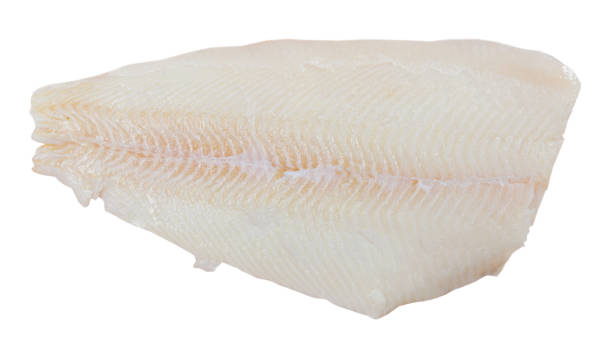 Fillet of raw halibut fish before cooking