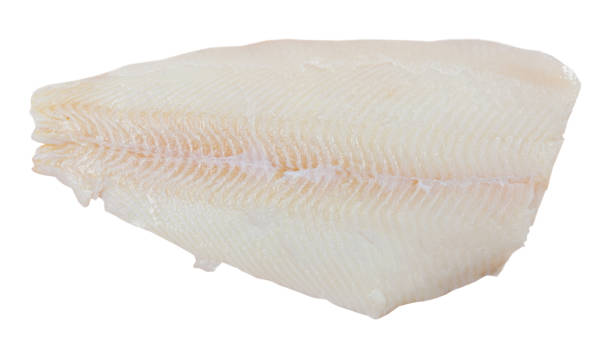 filet z surowej ryby halibuta przed gotowaniem - płastuga zdjęcia i obrazy z banku zdjęć