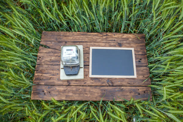 istock Old brown board among cereals, electricity meter on the table 1251267291
