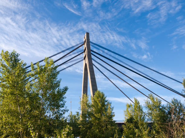istock Pylon and steel ropes of cable-stayed bridge against sky 1251268007