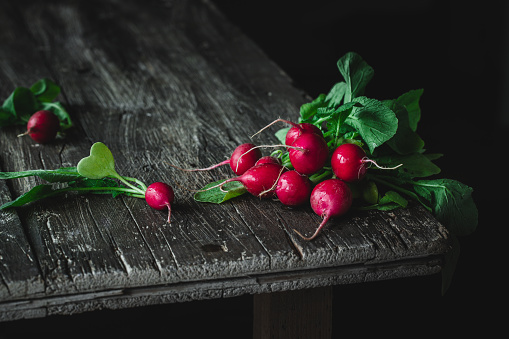 Fresh radishes on wooden table. Heap of fresh radishes on an old rustic table surface.