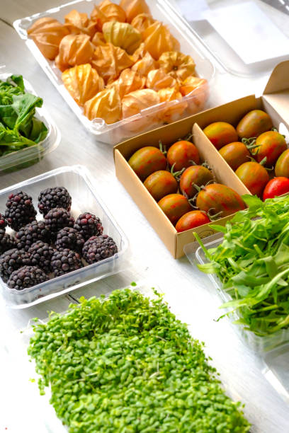 istock Fresh Green Spinach Pasta Tomatoes Blackberry Basil Golden Berry Rocket Flatlay 1251270241