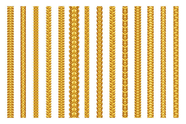 Seamless decoration chain braid ornament belt plait isolated pattern border set design vector illustration vector art illustration