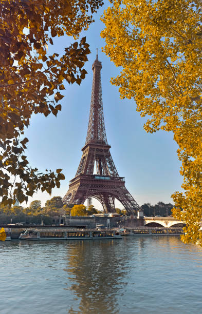 istock eiffel tower in paris between yellow foliage view from seine river 1251279183
